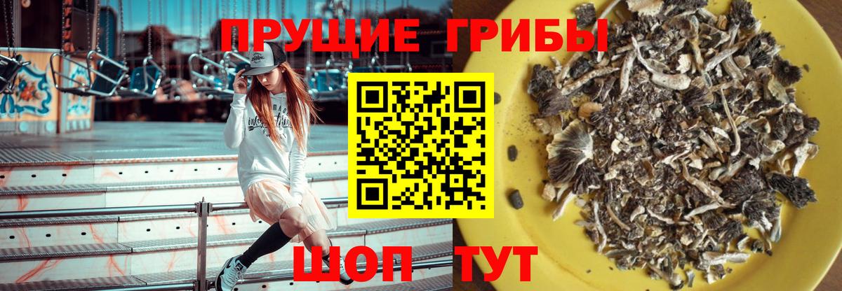 Когалым  Псилоцибиновые грибы прущие грибы  Вход с VPN 
